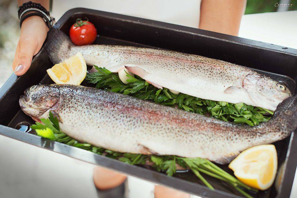 Lachsforellen aus dem Ofen Rezept - ichkoche.de Lachsforellen aus dem Ofen Rezept - ichkoche.de