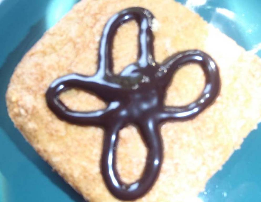 Kokoskuchen mit Schoko Kokoskuchen mit Schoko