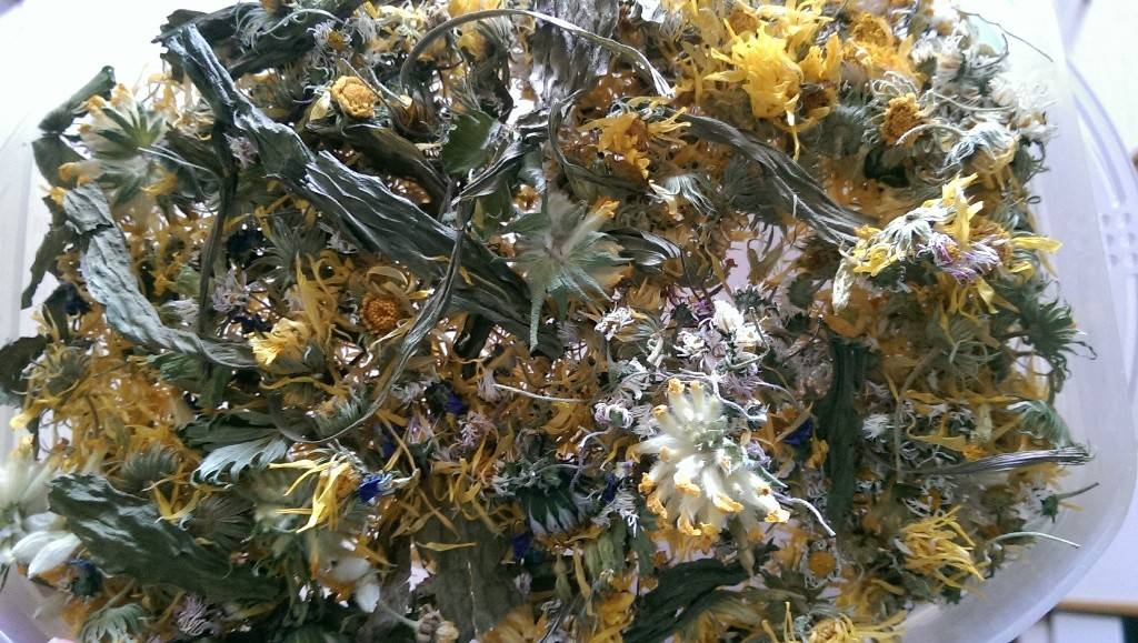 Selbstgemachter Kräutertee Rezept - ichkoche.de Selbstgemachter Kräutertee Rezept - ichkoche.de