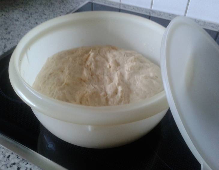 Germteig einfach und schnell Germteig einfach und schnell