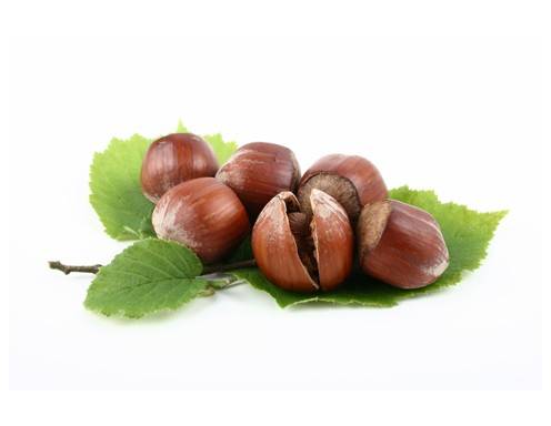 Nussiges Vergnügen aus dem Süden