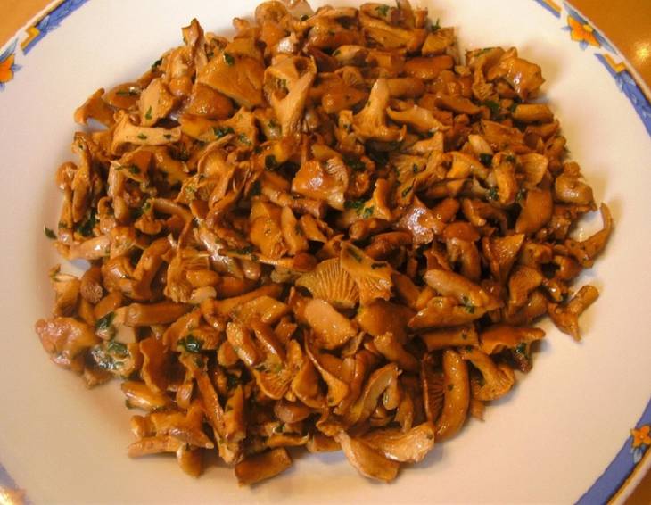 Eierschwammerl natur Eierschwammerl natur