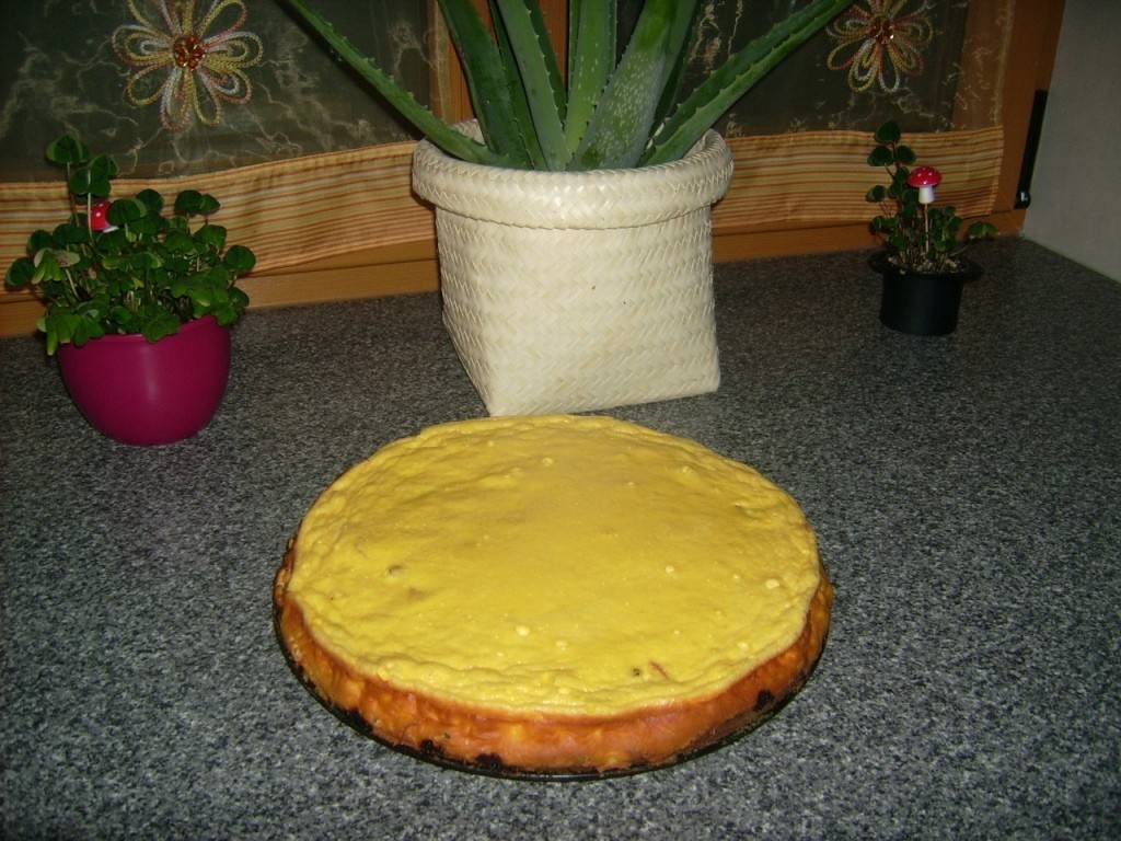 Rhabarberkuchen mit Cremeguss