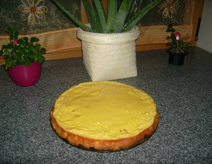 Rhabarberkuchen mit Cremeguss