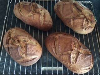 Krustenbrot mit Sonnenblumenkernen