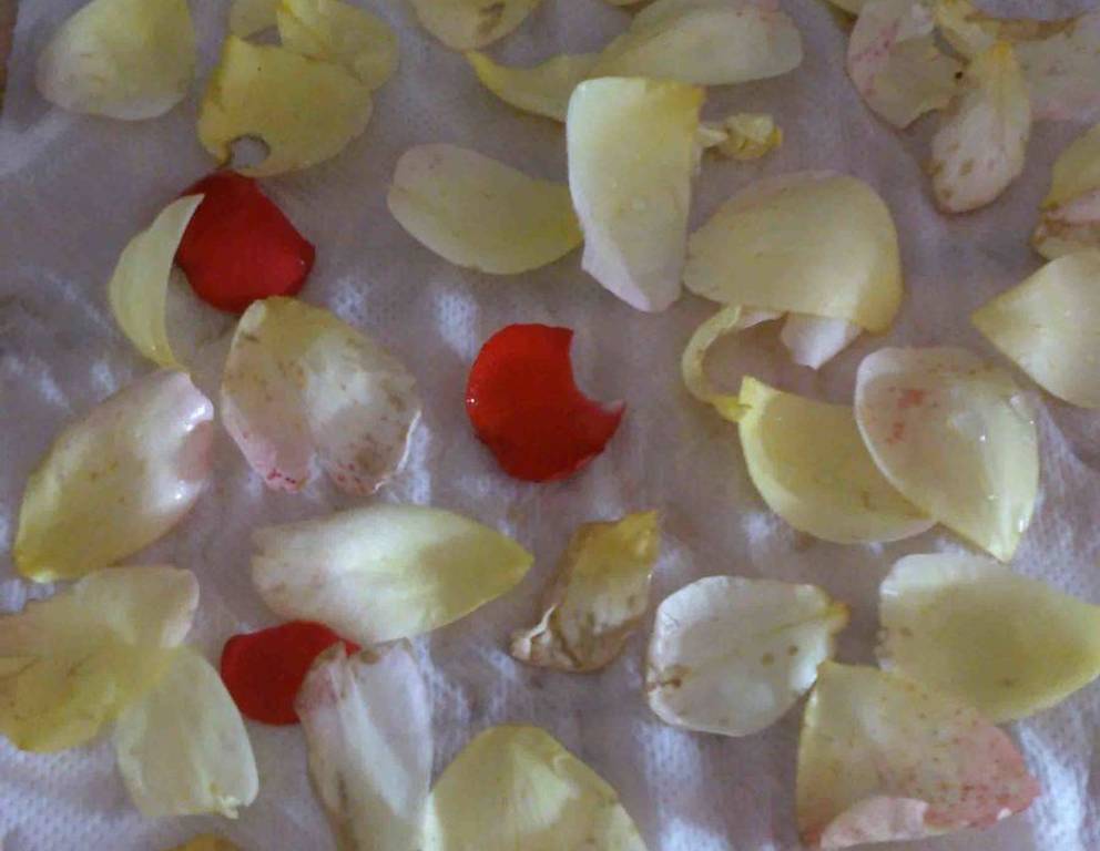 Rosenblütenhonig Rosenblütenhonig