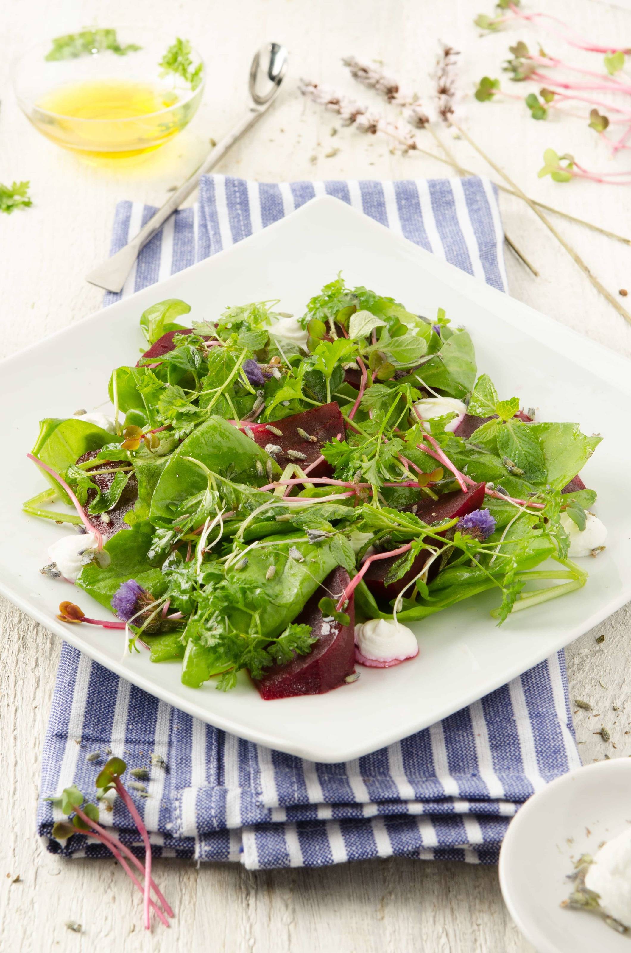 Rote-Rüben-Blattsalat