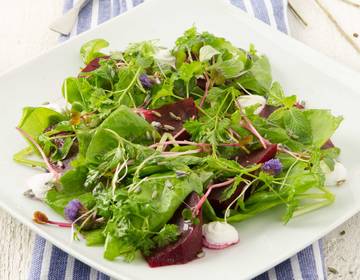 Rote-Rüben-Blattsalat Rote-Rüben-Blattsalat