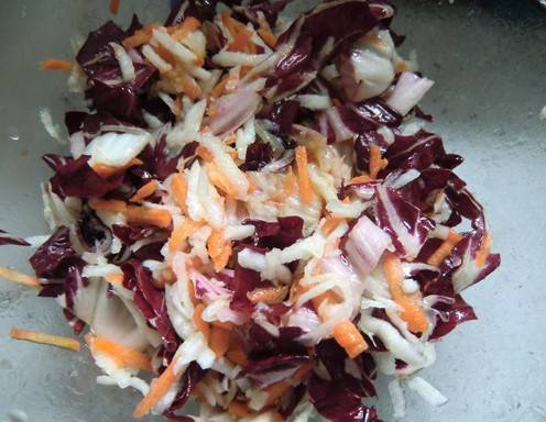 Radicchiosalat mit Karotten und Kohlrabi