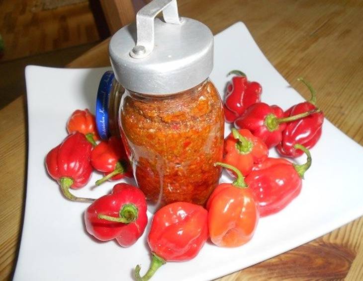 Harissa Harissa