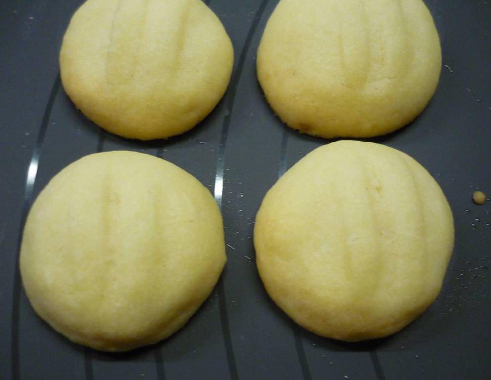 Schneeflöckchen Schneeflöckchen