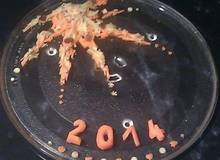 Feuerwerk 2014 vegan Feuerwerk 2014 vegan