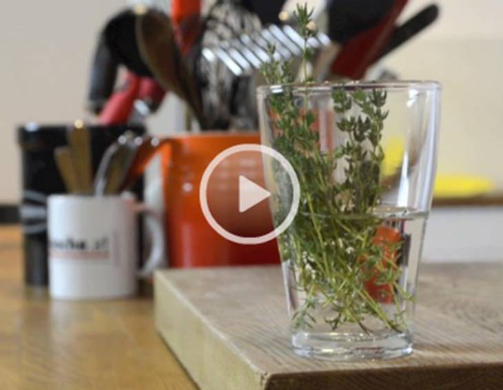 Video - So halten Kräuter länger frisch!