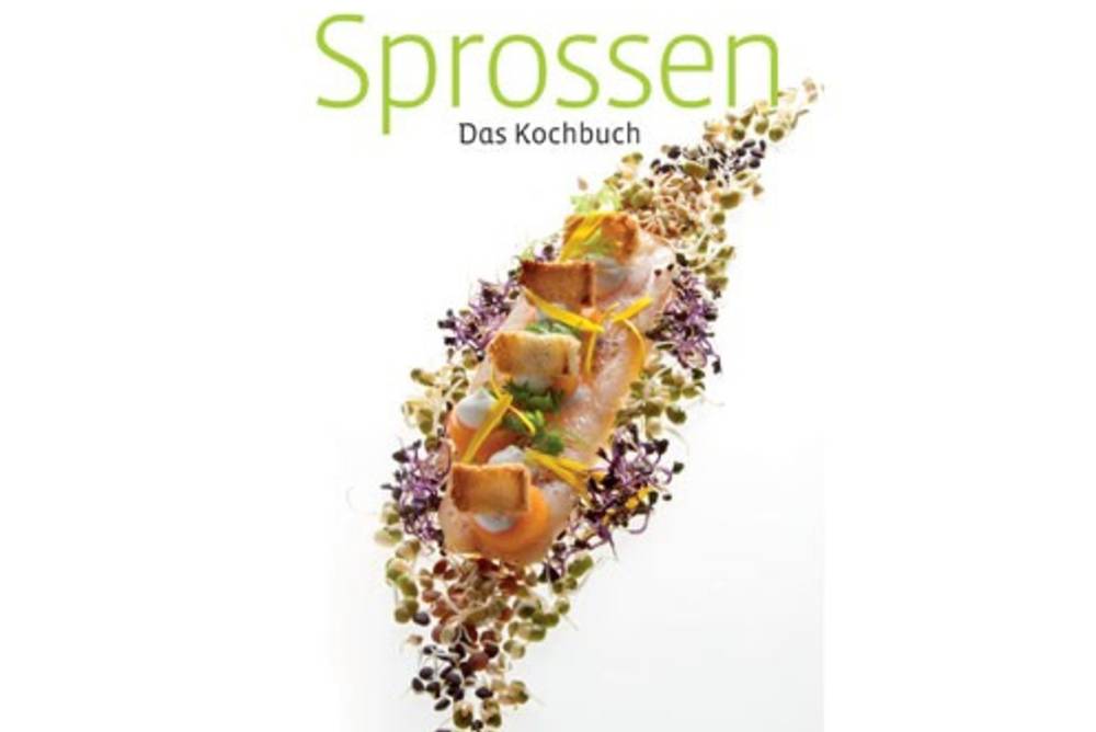 Buchcover Sprossen Buchcover Sprossen