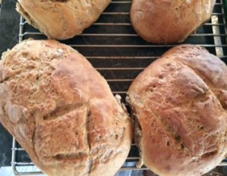 Sauerteigbrot Sauerteigbrot