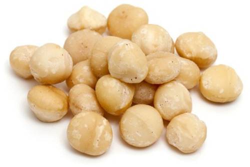 Macadamia Macadamia