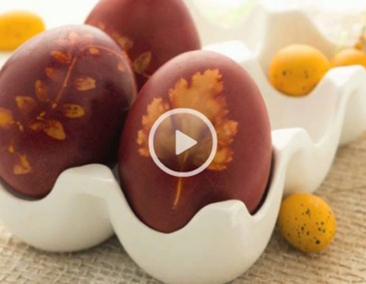 Video - Eier rot färben mit Zwiebelschalen