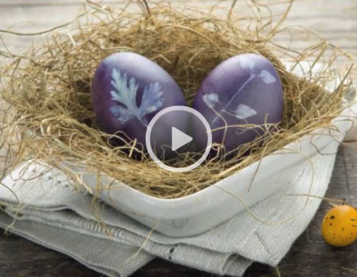 Video - Eier blau färben mit Heidelbeeren