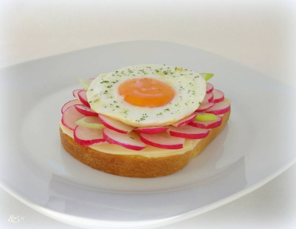 Spiegelei-Toast mit Radieschen Spiegelei-Toast mit Radieschen