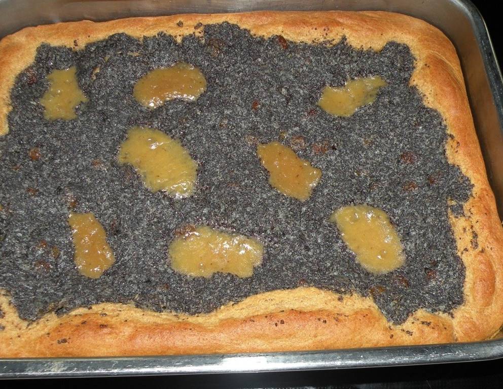 Dinkel-Germteig mit Mohnbelag Dinkel-Germteig mit Mohnbelag