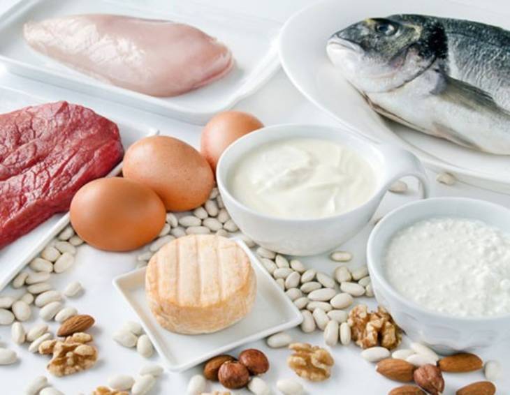 Proteinreiche Ernährung