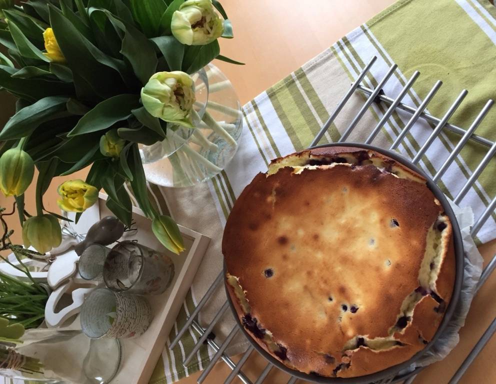 Heidelbeer-Kokos-Topfentorte Heidelbeer-Kokos-Topfentorte