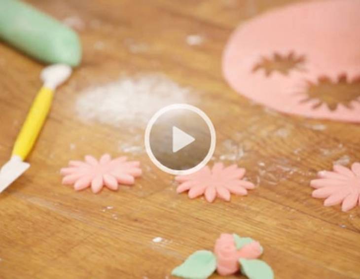 Video - Bunte Blüten aus Massa Ticino