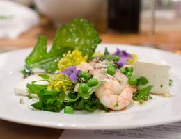 Frühlingssalat mit Garnelen Frühlingssalat mit Garnelen