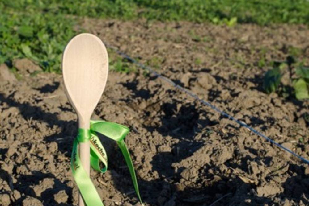 Biohof Radl Biohof Radl