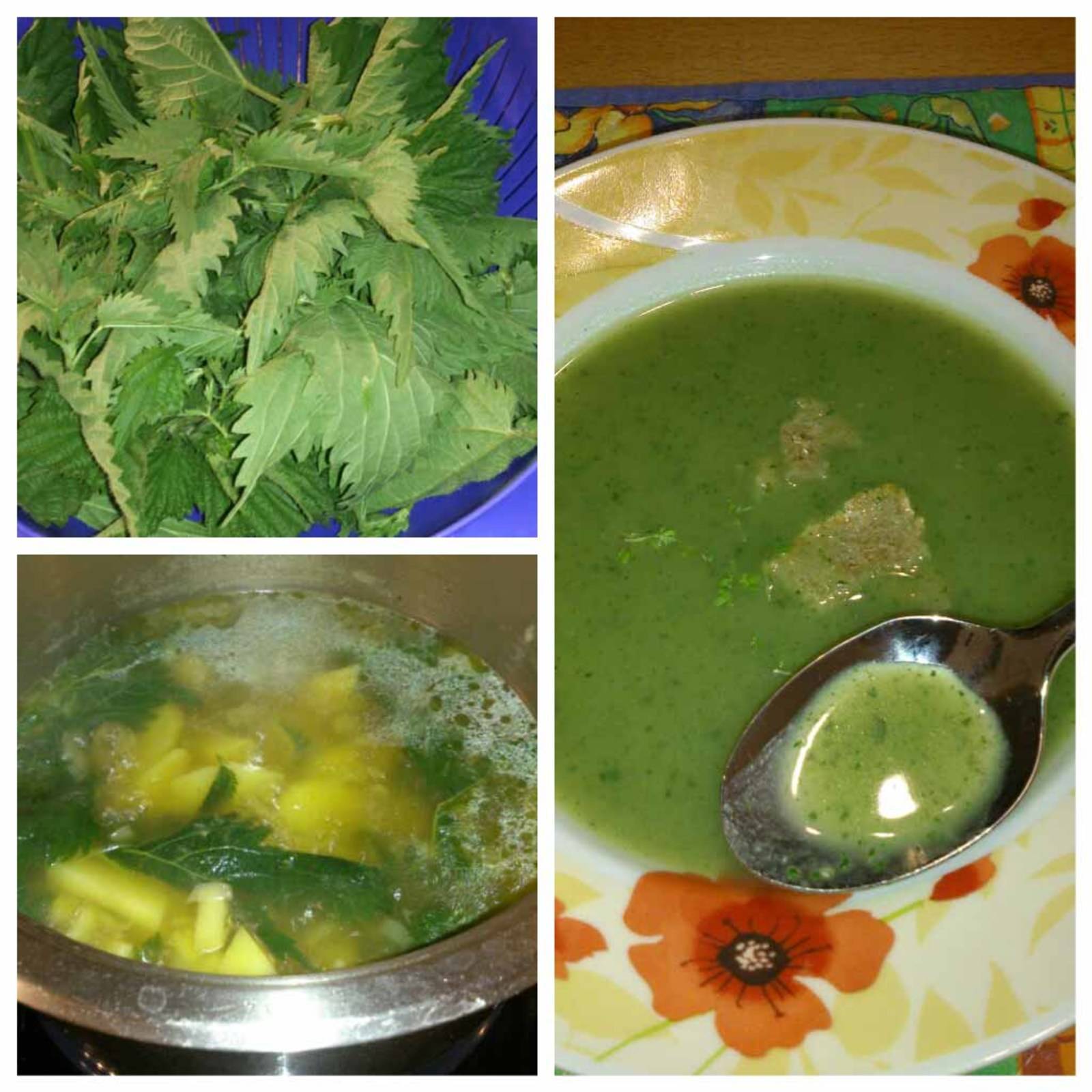 Brennnesselsuppe Rezept - ichkoche.de Brennnesselsuppe Rezept - ichkoche.de