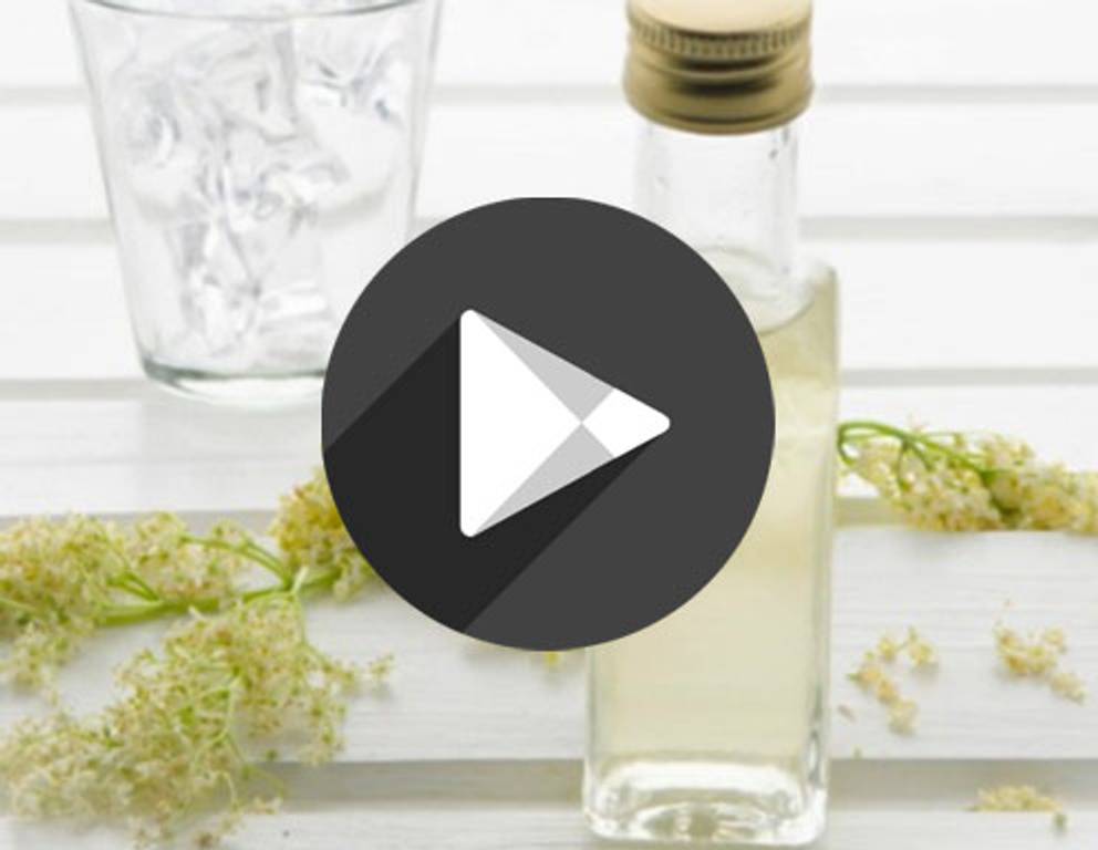 Holunderblütensirup Holunderblütensirup