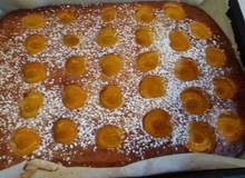 Marillen-Joghurt-Kuchen Marillen-Joghurt-Kuchen