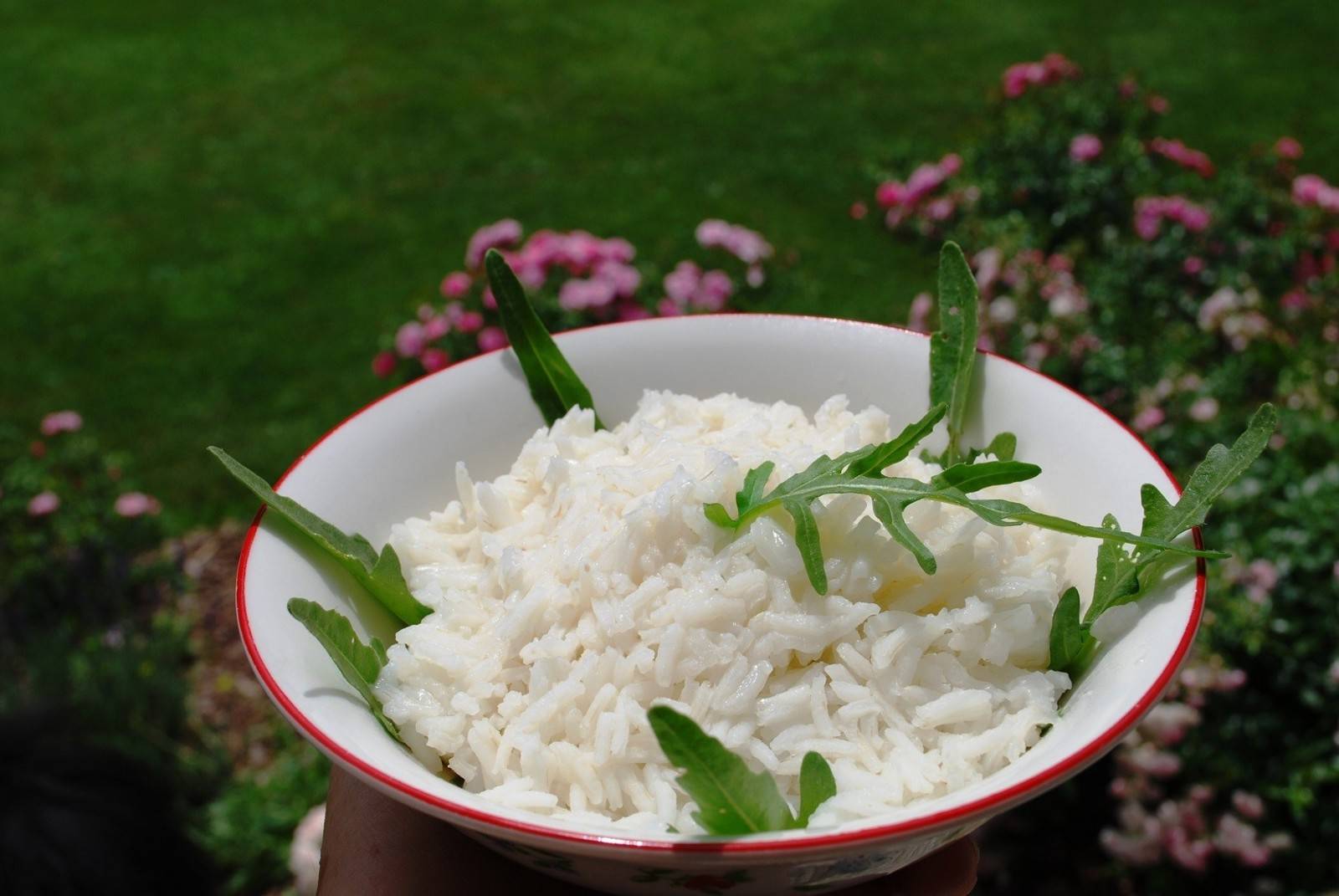 Zitronenreis mit Rucola Rezept - ichkoche