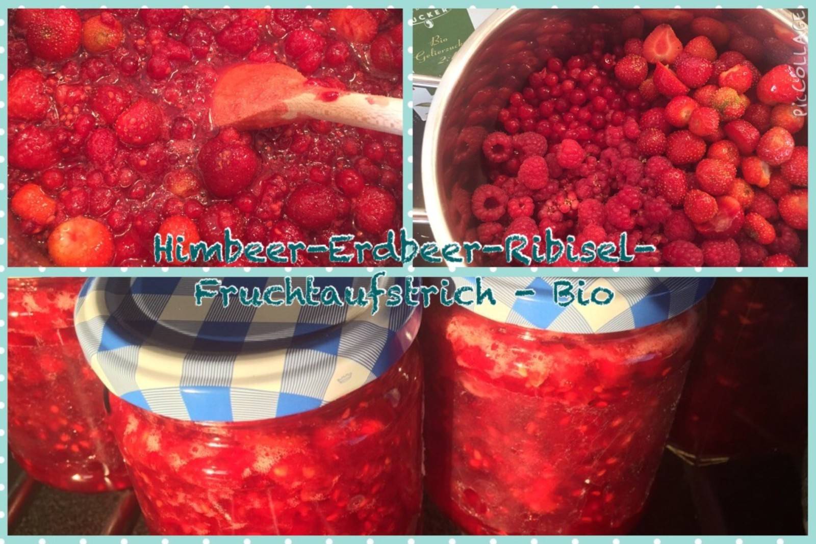 Himbeer-Erdbeer-Ribisel Bio Fruchtaufstrich