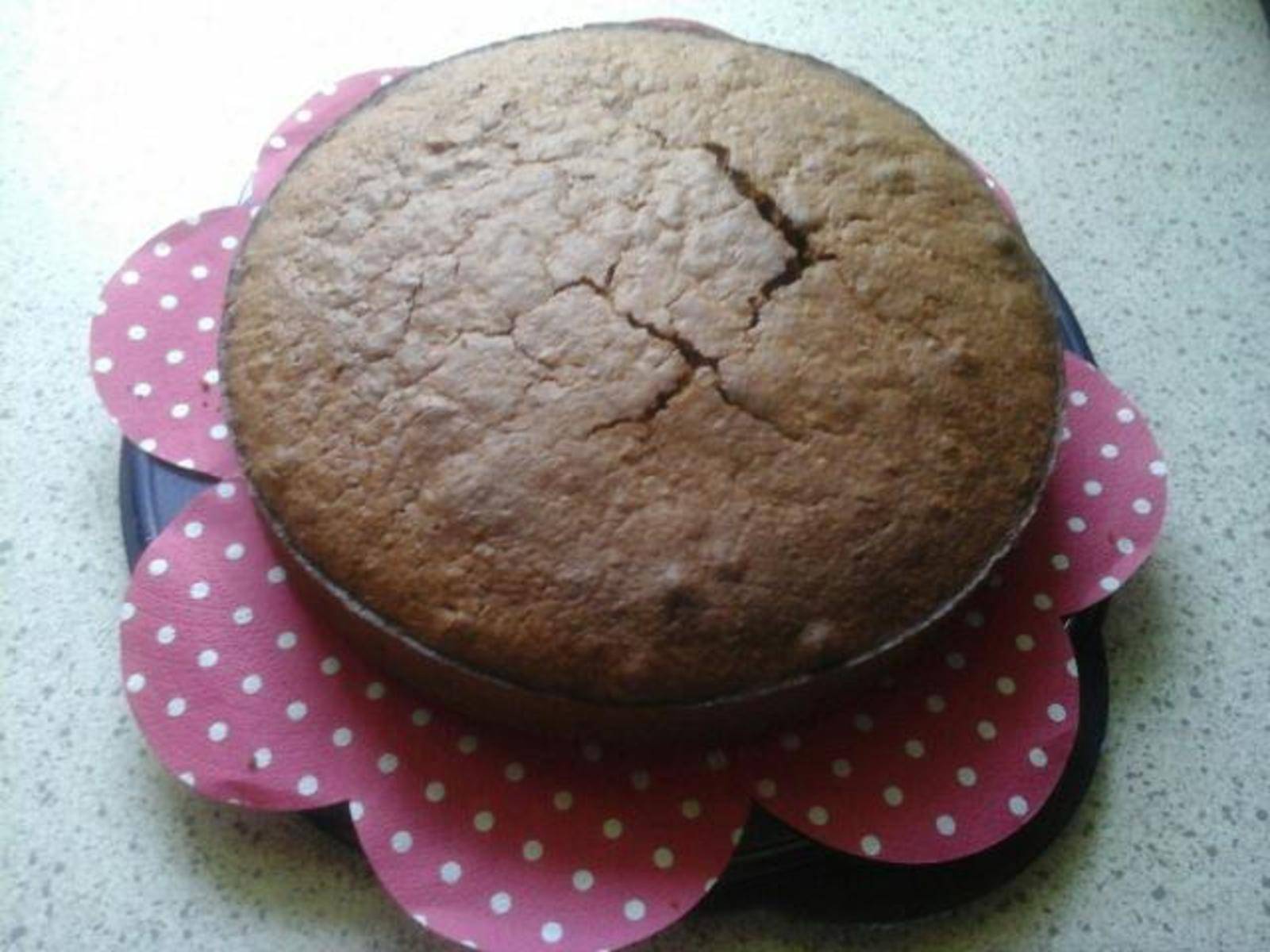 Schoko-Haferflocken Torte