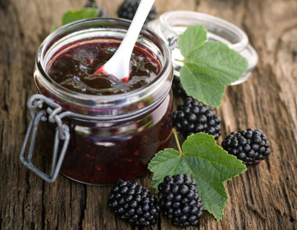 Die besten 
Brombeeren Rezepte