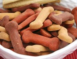 Hausmannskost für den Vierbeiner Hausmannskost für den Vierbeiner