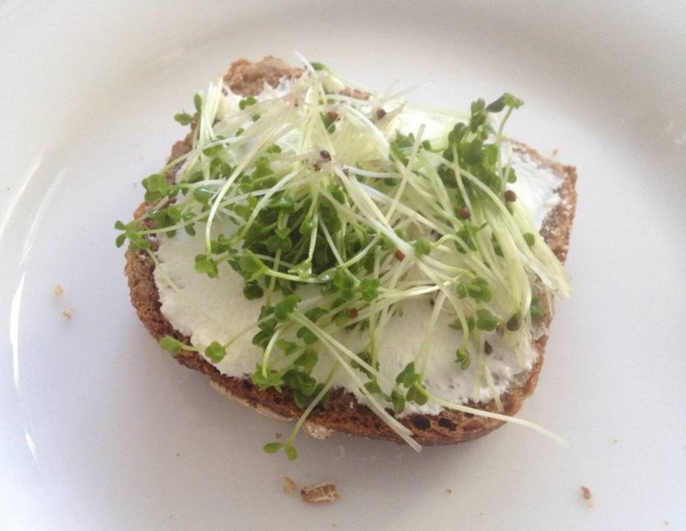 Dinkelvollkornbrot mit Topfen und Brokkolisprossen Dinkelvollkornbrot mit Topfen und Brokkolisprossen