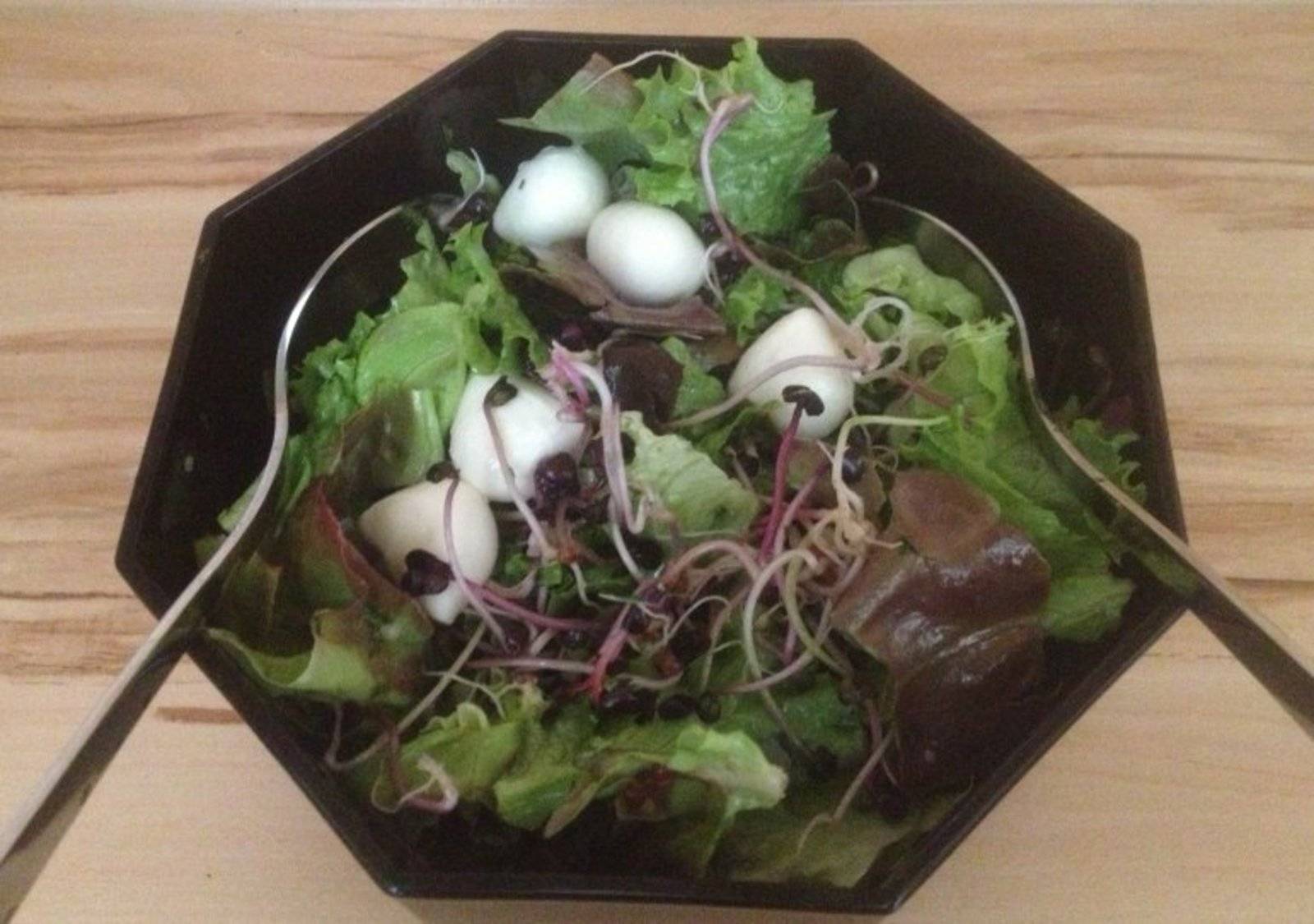 Blattsalat mit Mozzarella und Radieschensprossen