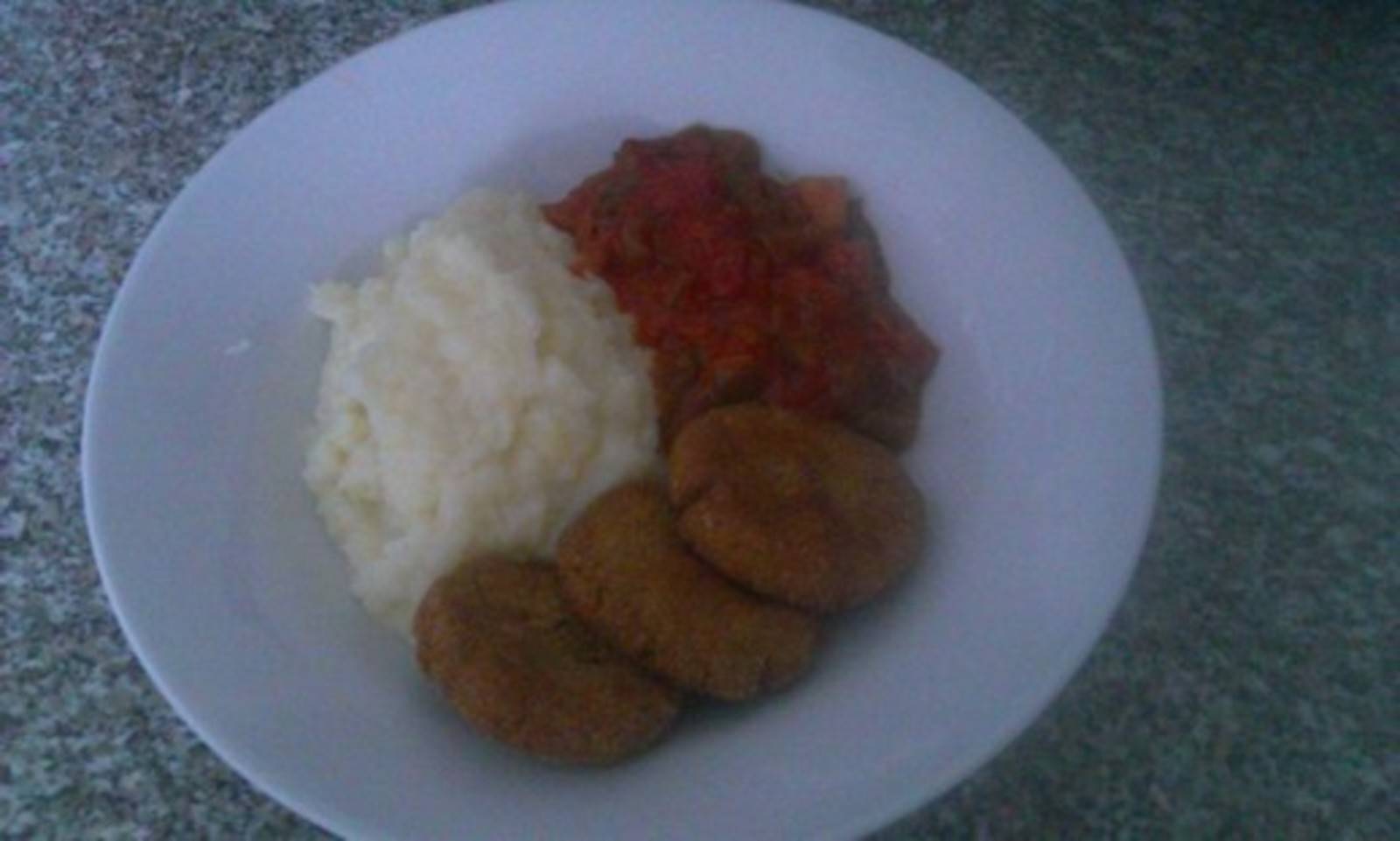 Falafel Laibchen mit Kartoffelpüree und Letscho