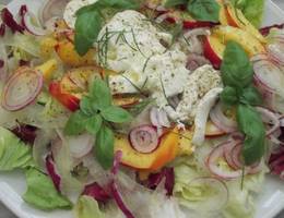 Nektarinen-Salat mit Mozzarella