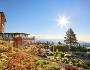 Zu jedem Essen passt ein Bier!