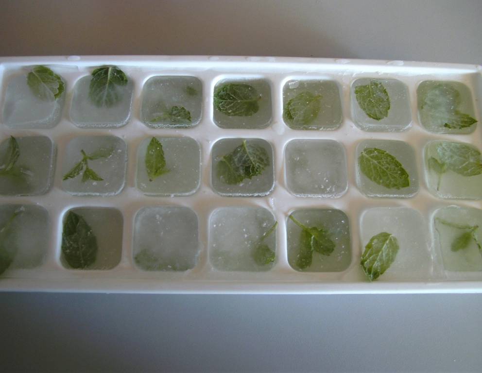 Eiswürfel mit Minze Eiswürfel mit Minze