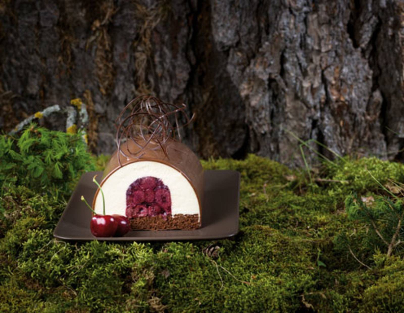 Schwarzwälder-Kirsch-Baumstamm Rezept