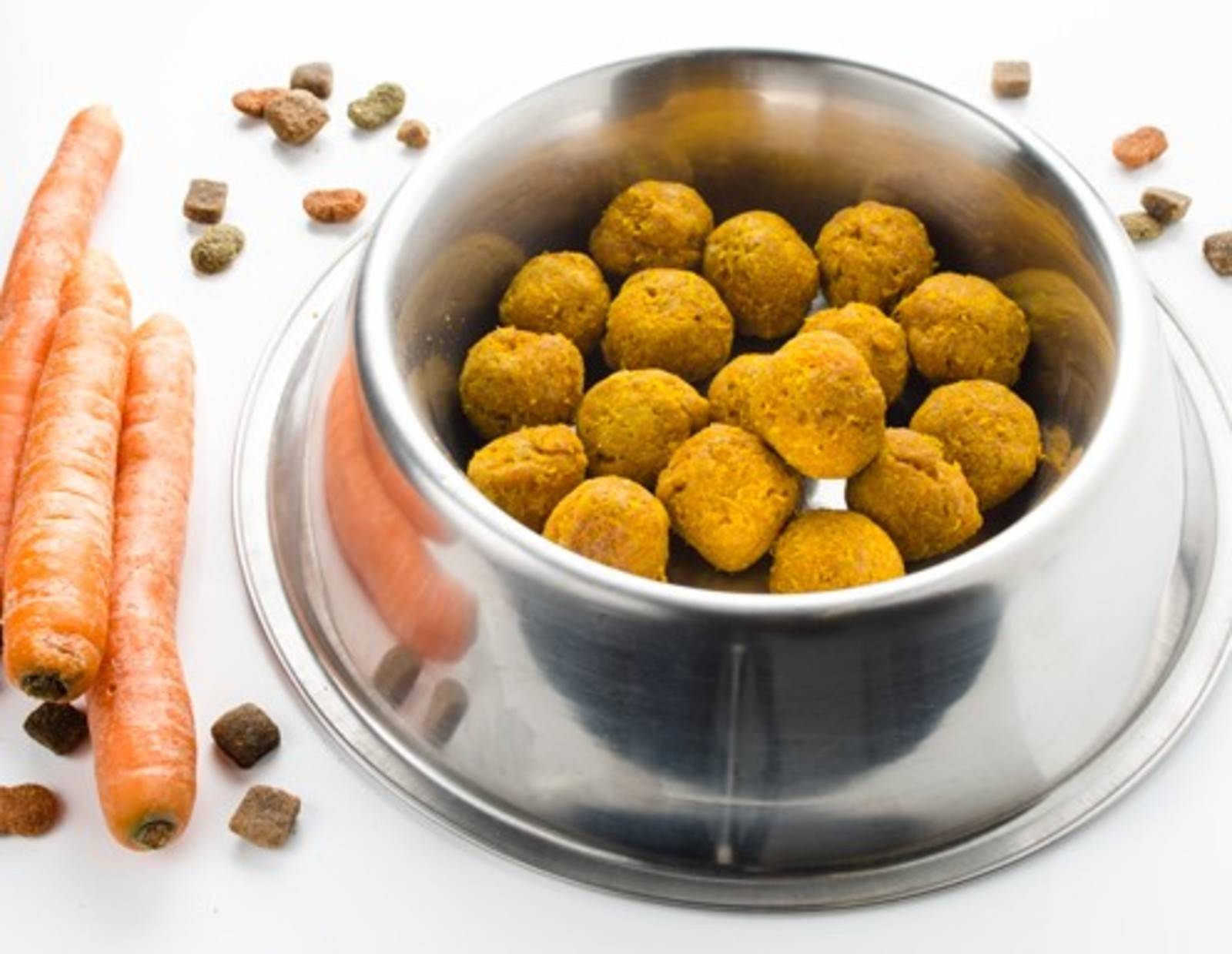 Hundekekse mit Karotten
