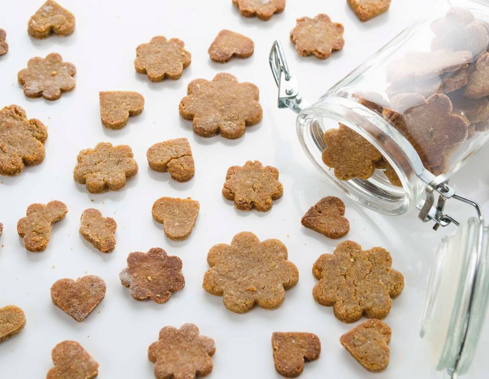 Katzenkekse mit Thunfisch Katzenkekse mit Thunfisch