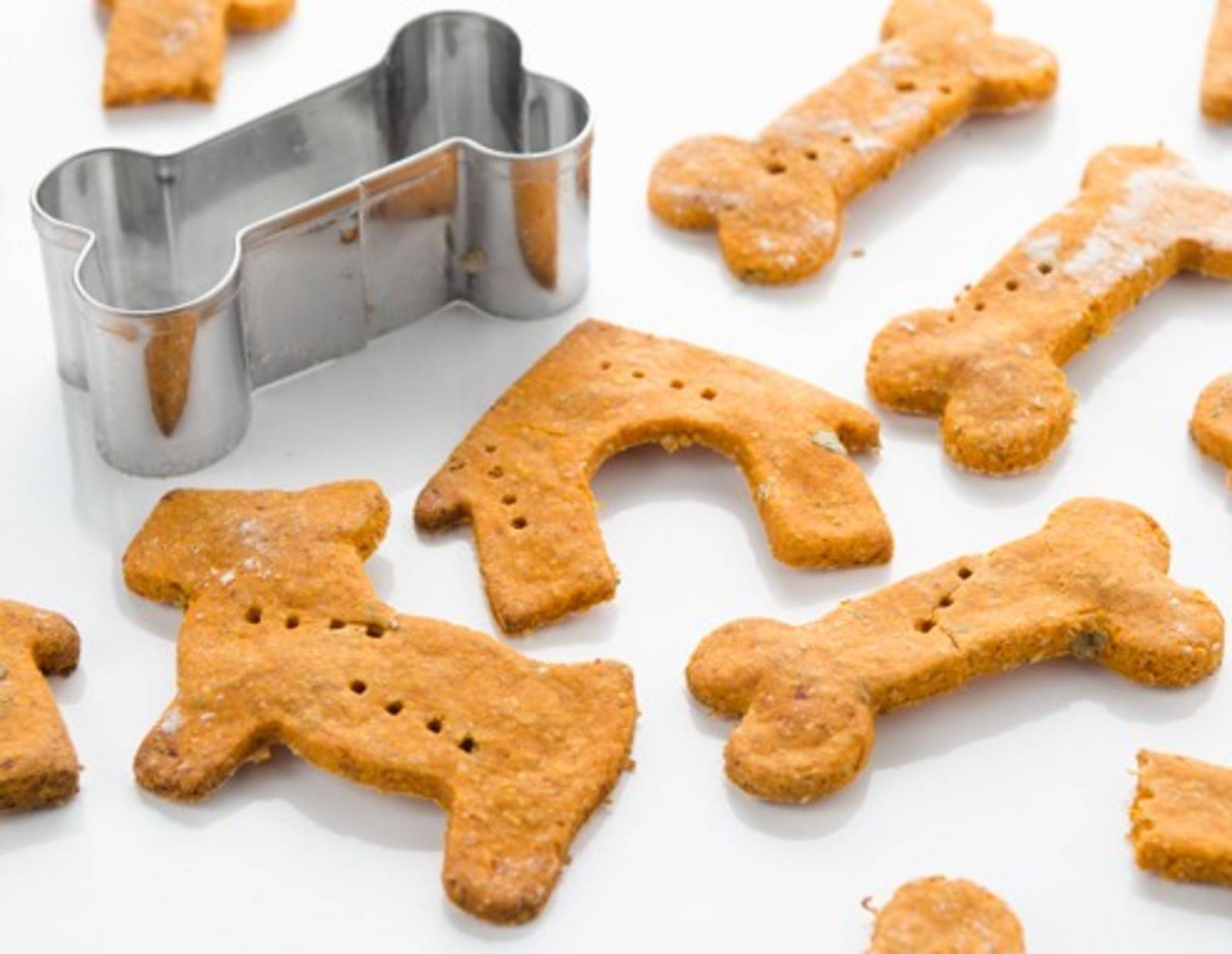 Hundekekse mit Hüttenkäse 