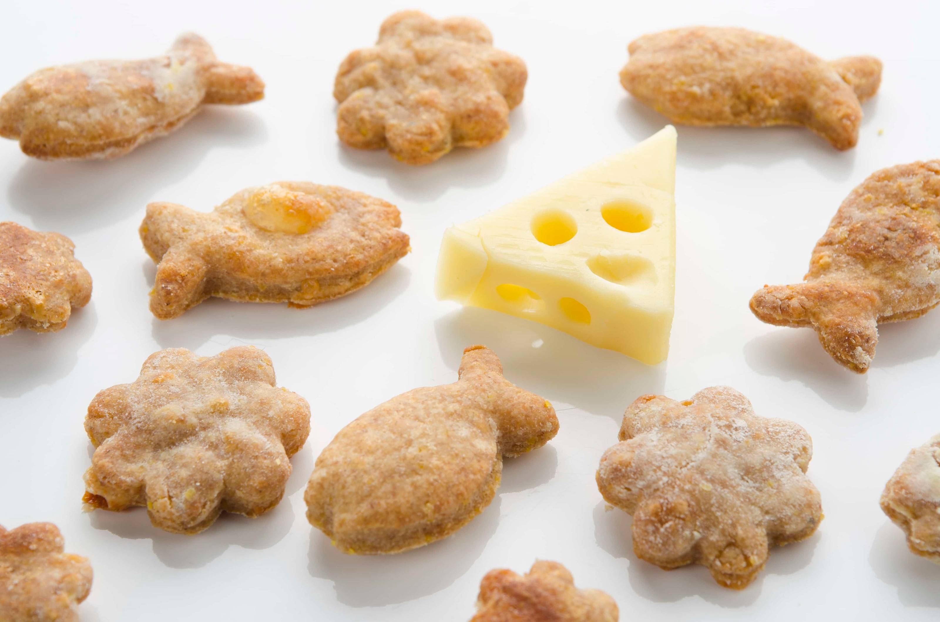 Katzenkekse mit Käse