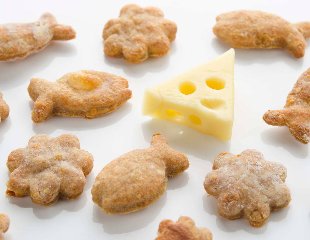 Katzenkekse mit Käse Katzenkekse mit Käse