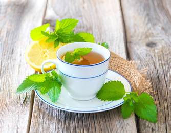 Zitronenmelisse Zitronenmelisse